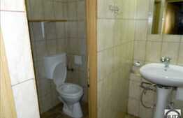 Inchiriere spatiu comercial, 135 mp, zona strazii Brancusi