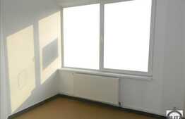 Spatiu comercial la strada, 100 mp, zona Lidl, Buna Ziua