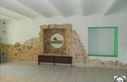 De inchiriat spatiu comercial, 110 mp, zona Eroilor