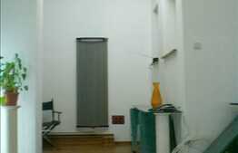 Spatiu comercial, 50 mp, parter si demisol, in zona strazii Emil Isac