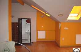 De vanzare cladire, D+P+M, 250 mp in Piata Muzeului