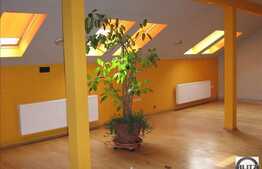 De vanzare cladire, D+P+M, 250 mp in Piata Muzeului