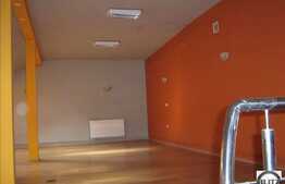 De vanzare cladire, D+P+M, 250 mp in Piata Muzeului