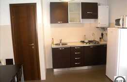 Apartament cu 2 camere de inchiriat pe strada Decebal.