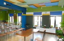 Spatiu ultracentral la super pret!