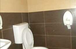 Un spatiu elegant, ultracentral, vad maxim! 204 mp utili cu 100 mp terasa!