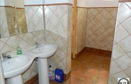 Restaurant 320 mp utili cu terasa 300 mp in zona centrala!