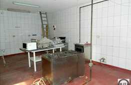 Restaurant 320 mp utili cu terasa 300 mp in zona centrala!