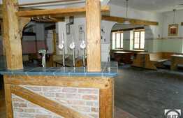 Restaurant 320 mp utili cu terasa 300 mp in zona centrala!