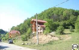 Pensiune turistica la rosu, 16 camere, 1100 mp, teren 3559 mp, zona linistita!