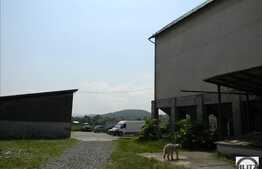 Moara Luna de Jos. Imobil cu istoric si prestigiu.