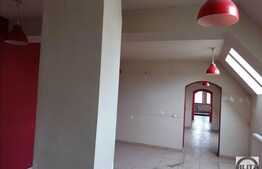 Spatiu comercial sau pentru birouri, 320 mp, zona centrala