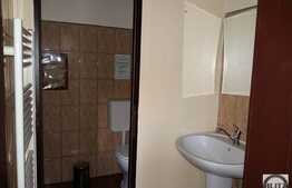 Spatiu comercial sau pentru birouri, 320 mp, zona centrala