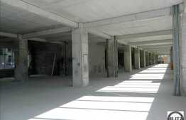 1000 mp in zona Iulius Mall, pentru companii cu renume