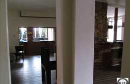 Spatiu de inchiriat, 170 mp, cu terasa de 230 mp, zona Brancusi!