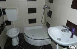 Spatiu comercial, 142 mp utili, zona strazii Alverna