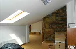 150  mp pentru, magazin decoratiuni antichitati, haine etc.!Vad si expunere