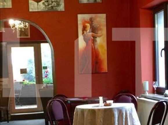 Spațiu comercial de vânzare Grigorescu - 21984SVC | BLITZ Cluj-Napoca | Poza3