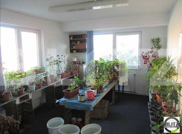 Spațiu comercial de închiriat Gruia - 21986SIC | BLITZ Cluj-Napoca | Poza6