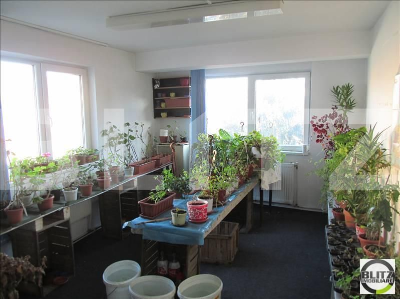 Spațiu comercial de închiriat Gruia - 21986SIC | BLITZ Cluj-Napoca | Poza6