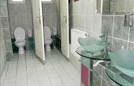 De vanzare pensiune! D+P+M, 650 mp totali utili si cu 700 mp gradina