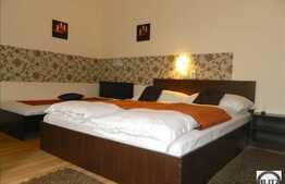 Pensiune la cheie! Complet functionala! 650 mp totali utili si cu 700 mp gradina