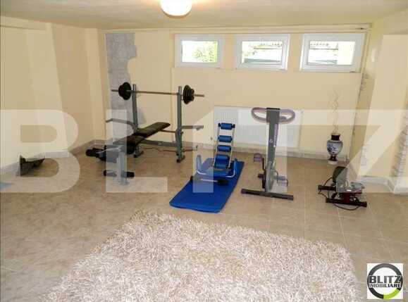 Spațiu comercial de închiriat Gruia - 21991SIC | BLITZ Cluj-Napoca | Poza12