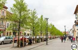 Spatiu comercial ultracentral, 50 mp, vitrina la strada