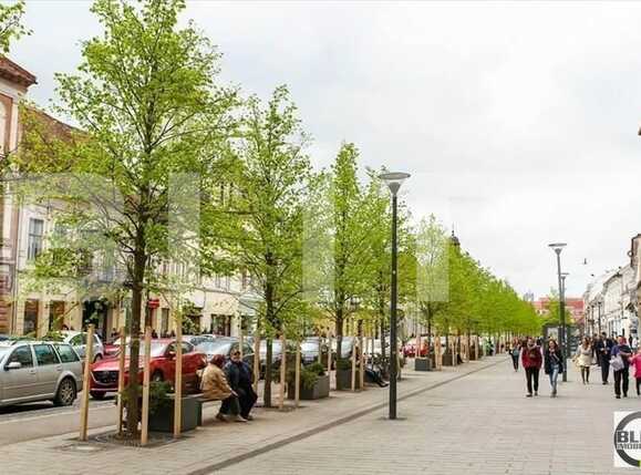 Spațiu comercial de închiriat Central - 21998SIC | BLITZ Cluj-Napoca | Poza1