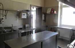 Spatiu comercial 124 mp, open-space, zona Tribunalului