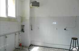 Spatiu polivalent de inchiriat, 240 mp, zona strazii Aurel Vlaicu