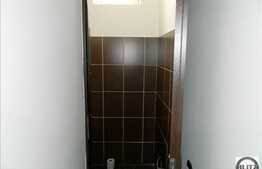 Spatiu polivalent de inchiriat, 240 mp, zona strazii Aurel Vlaicu