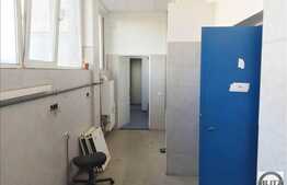 Spatiu comercial in Piata Cipariu cu acces din strada, suprafata utila de 235 mp