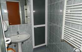 Spatiu comercial 170 mp utli si 400 mp terasa, locatie cu vizibilitate