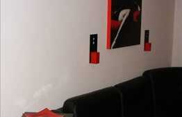 Apartament cu 2 camere, 50 mp, aproape de Iulius Mall