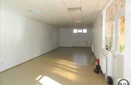 Spatiu cu vad si expunere 66 mp utili, finisat nou, Zona Expo Transilvania