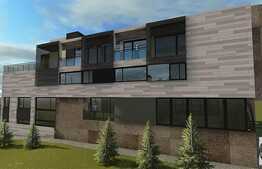 Imobil deosebit, cu destinatie multipla