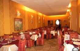 Spatiu ultracentral cu renume. Pret oportun!