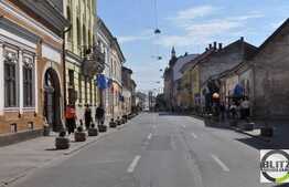 Restaurant cu terasa, la cheie, in zona centrala.