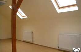 Hala pt mini productie sau spatiu de depozitare ! 220 mp hala + 50 mp birouri!