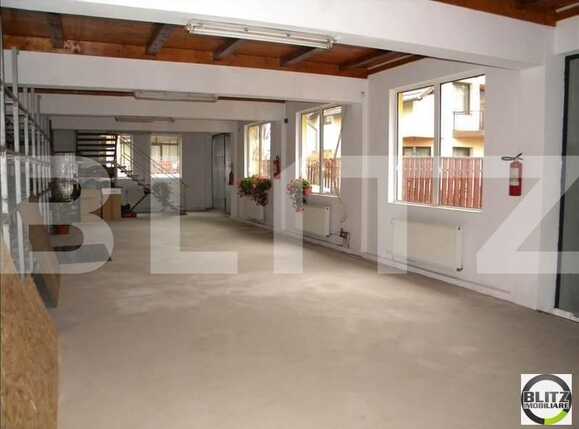 Spațiu industrial de închiriat Bună Ziua - 22223SII | BLITZ Cluj-Napoca | Poza2