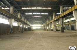 15000 mp spatiu industrial in zona Iris!