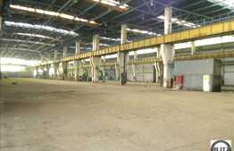 Inchiriere spatiu industrial 4000 mp!