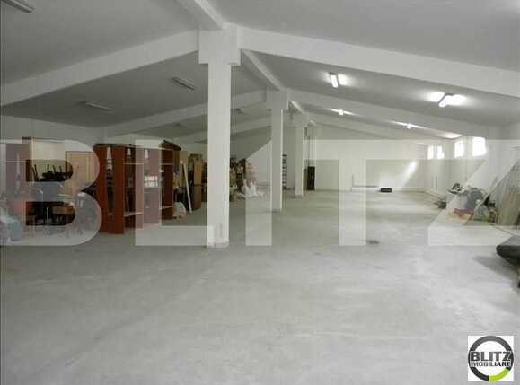 Spațiu industrial de închiriat Dambul Rotund - 22228SII | BLITZ Cluj-Napoca | Poza8