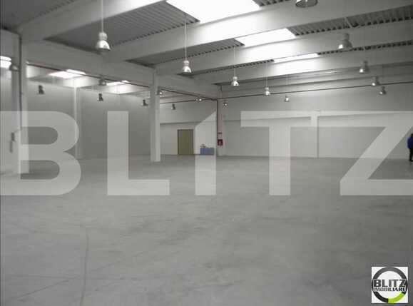 Spațiu industrial de închiriat Dambul Rotund - 22231SII | BLITZ Cluj-Napoca | Poza6
