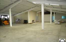 Spatiu de depozitare in Floresti!