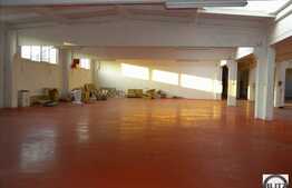 Spatiu in depozit renovat. Acces Tir