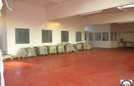 Spatiu in depozit renovat. Acces Tir