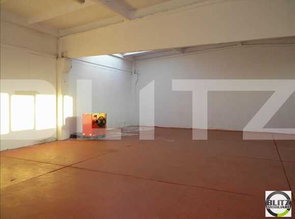 Spațiu industrial de închiriat Gara - 22250SII | BLITZ Cluj-Napoca | Poza10