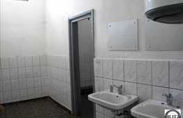 Hala 1200 mp Multiple Activitati Industriale !